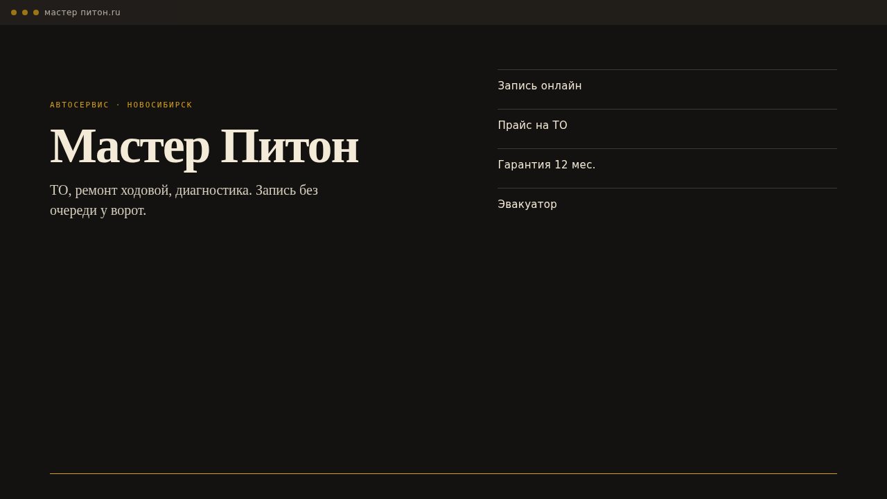 Сайт «Мастер Питон, Новосибирск»